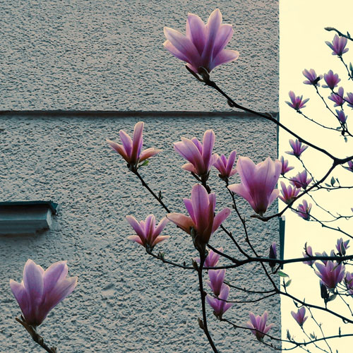 Карта шансов (Германия): калькулятор баллов, тест